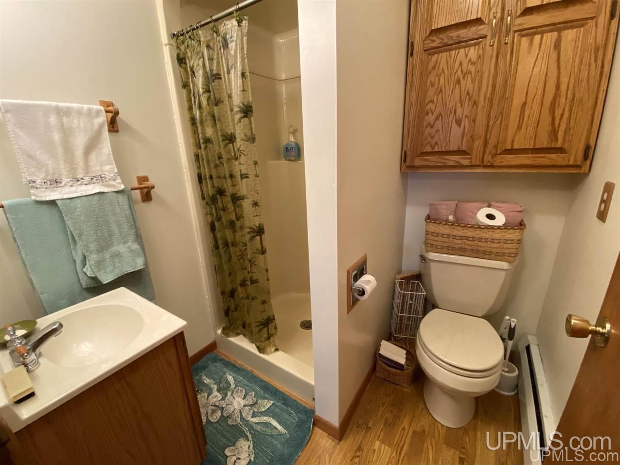 507 N Township Park Road Gulliver, MI 49840 - Photo 26 of 44