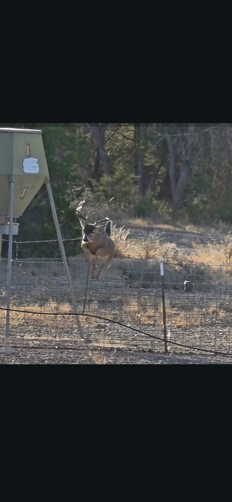 2043 Sd 45670 Rocksprings, TX 78880 - Photo 22 of 44 a view of a water from a floor