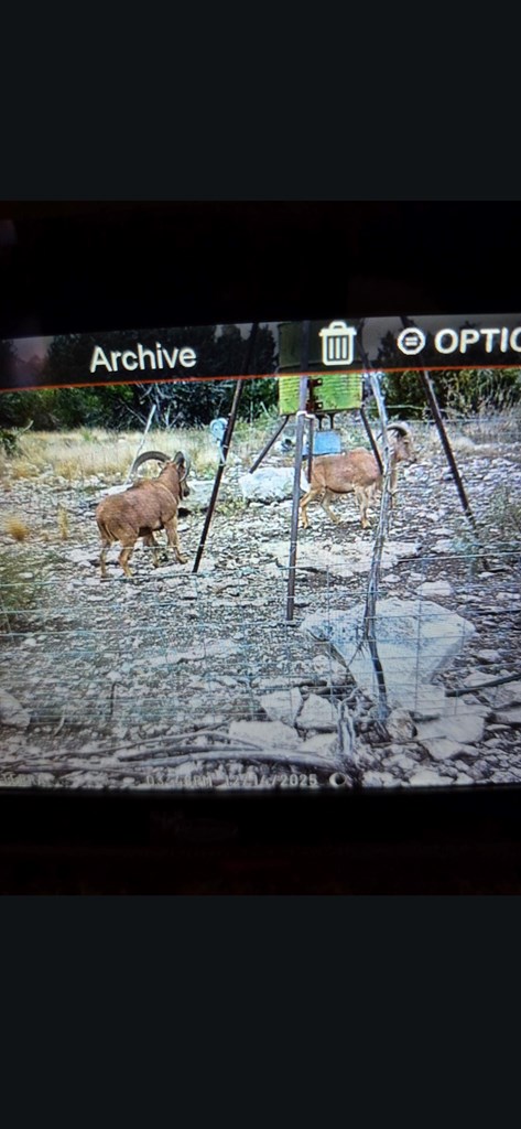 2043 Sd 45670 Rocksprings, TX 78880 - Photo 30 of 44 a view of swimming pool from a yard