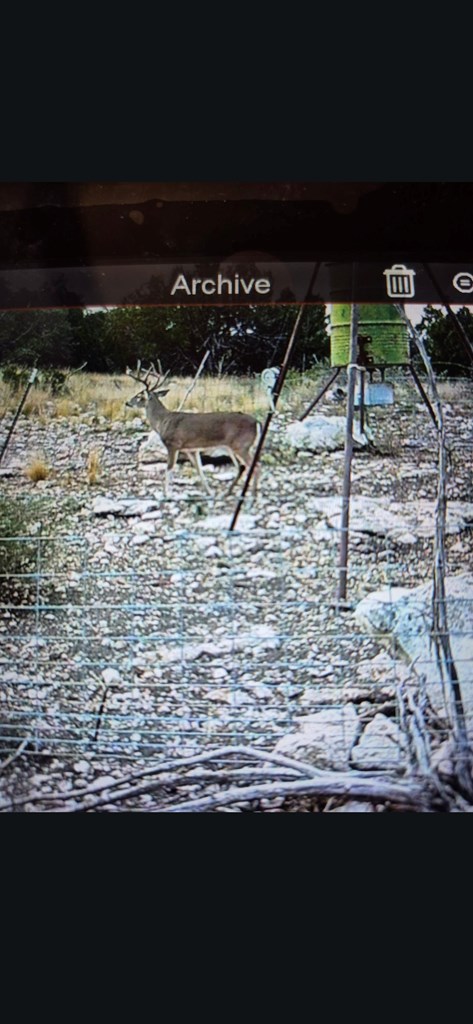 2043 Sd 45670 Rocksprings, TX 78880 - Photo 32 of 44 a view of outdoor space and yard