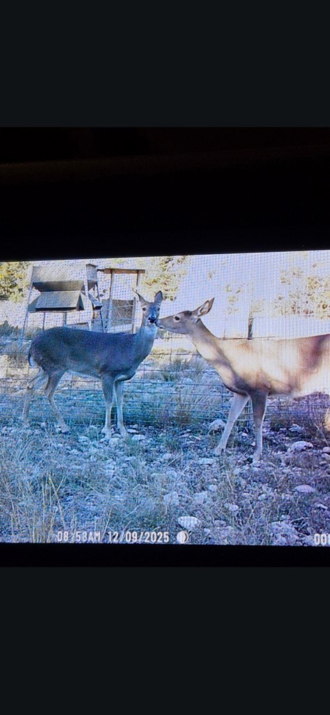 2043 Sd 45670 Rocksprings, TX 78880 - Photo 33 of 44 a view of a living room