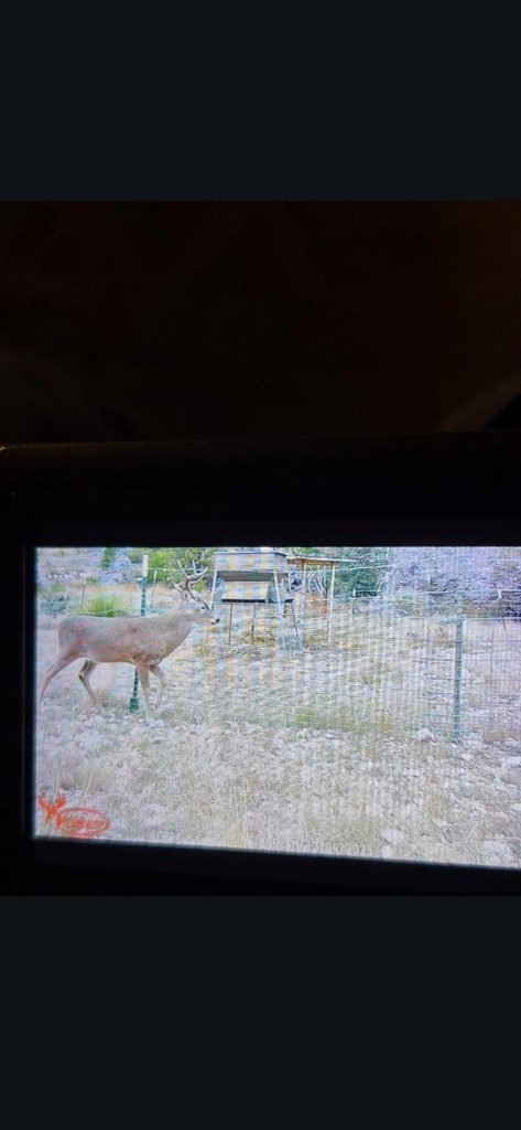 2043 Sd 45670 Rocksprings, TX 78880 - Photo 35 of 44