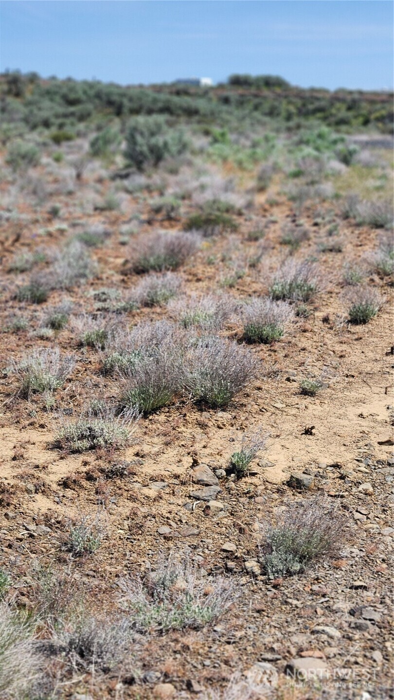 0 285 Meadows Ephrata, WA 98823 - Photo 11 of 21