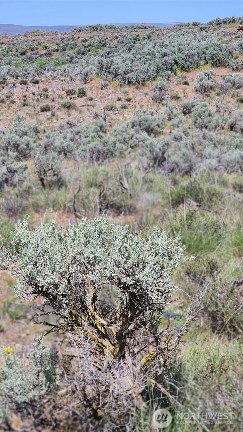 0 285 Meadows Ephrata, WA 98823 - Photo 13 of 21