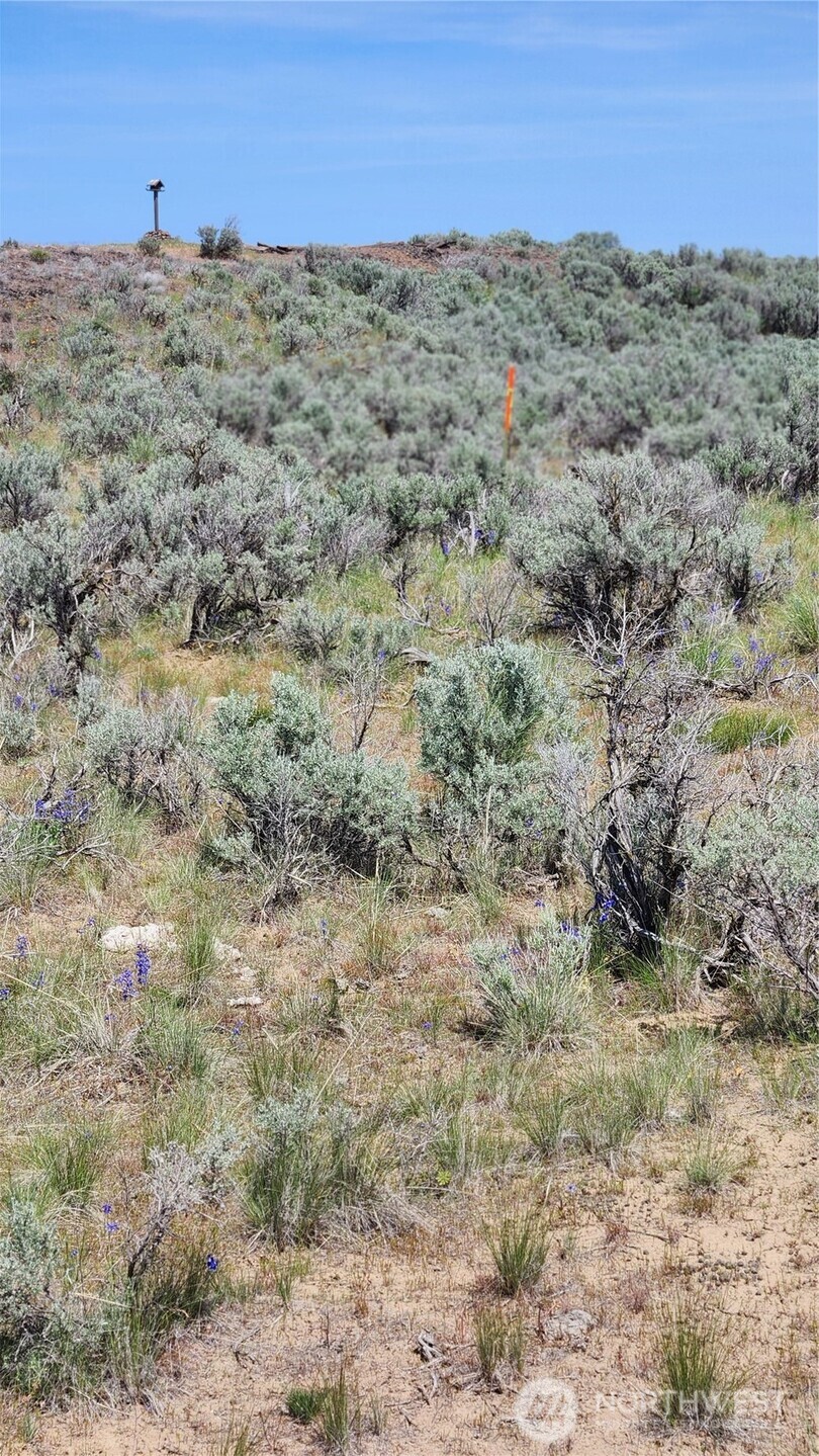 0 285 Meadows Ephrata, WA 98823 - Photo 15 of 21