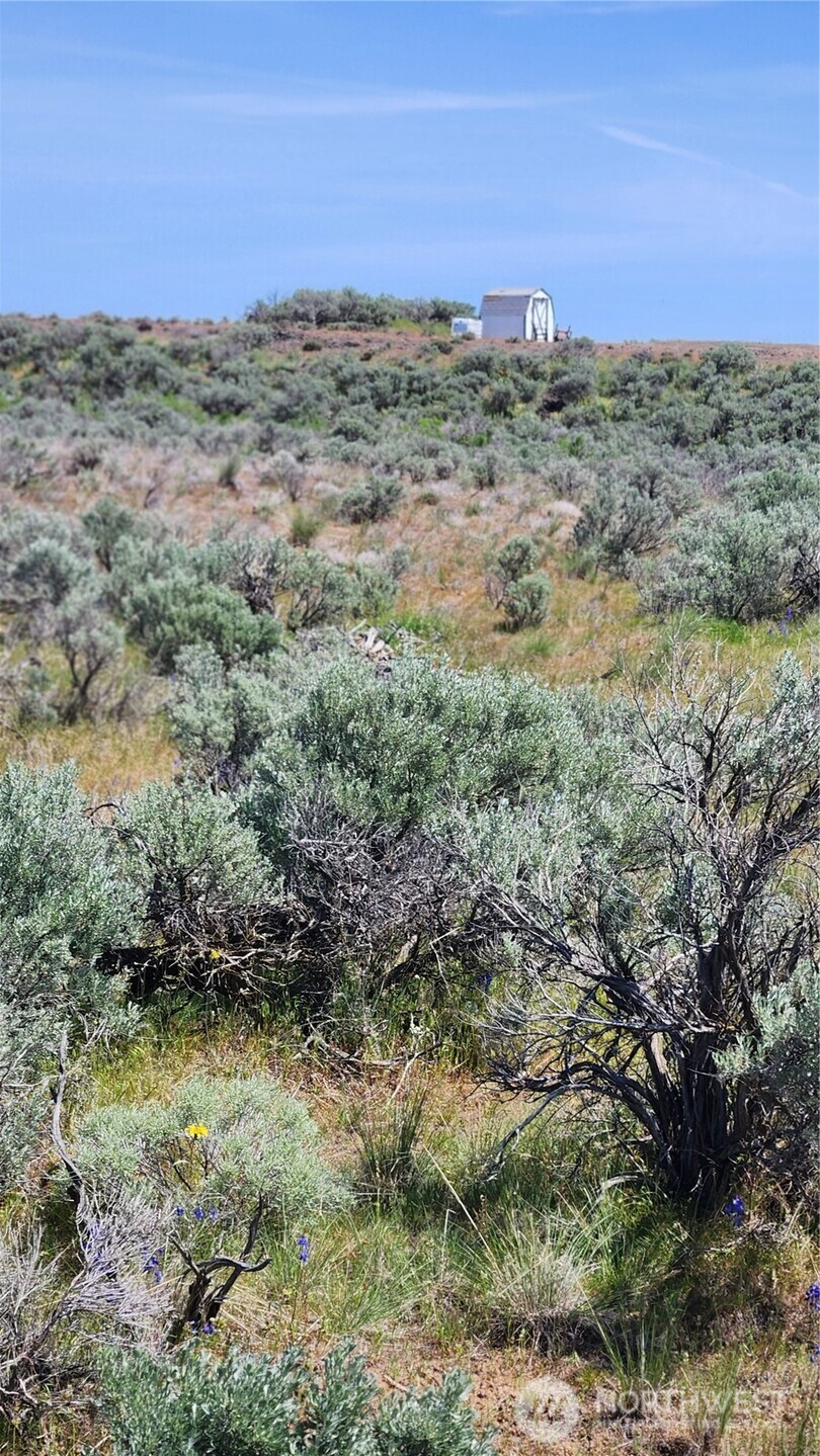 0 285 Meadows Ephrata, WA 98823 - Photo 9 of 21