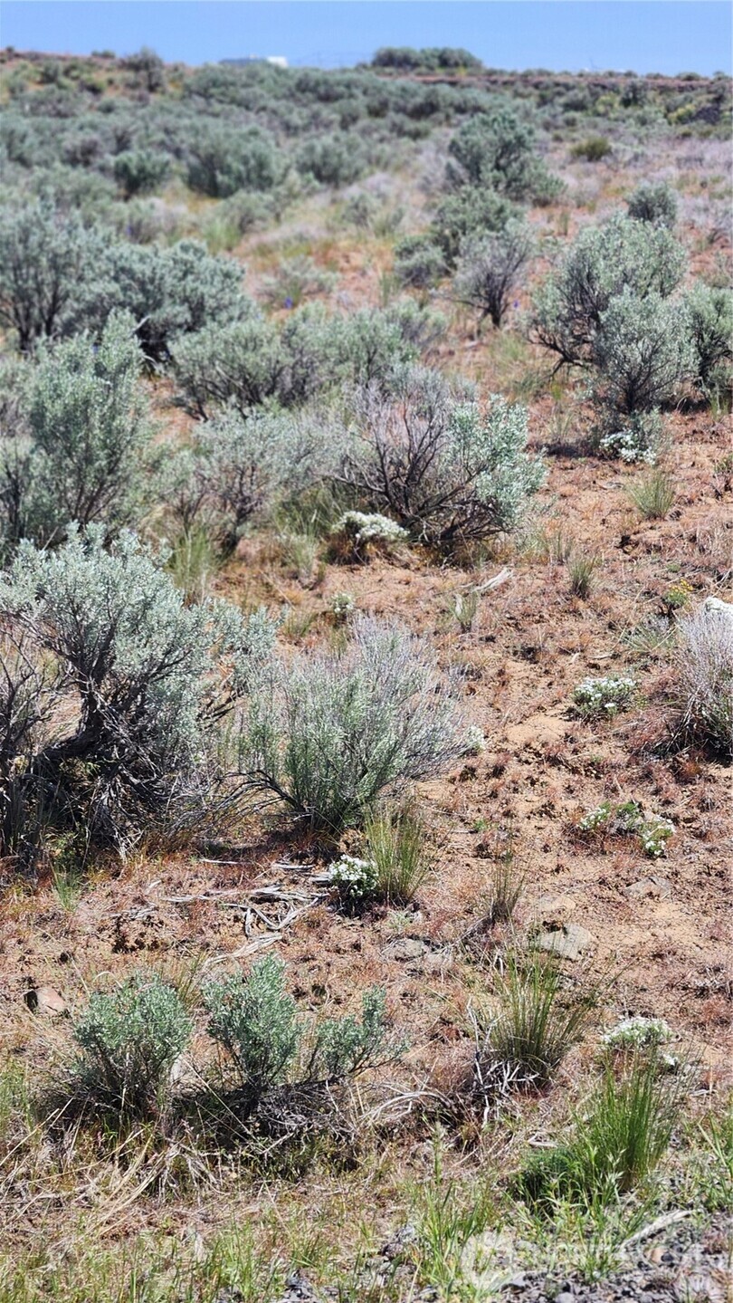 0 285 Meadows Ephrata, WA 98823 - Photo 10 of 21