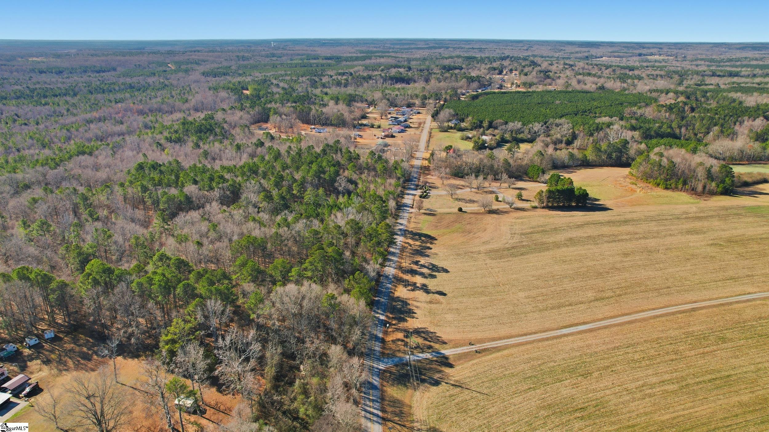 0 Apple Orchard Road Clinton, SC 29325 - Photo 16 of 22