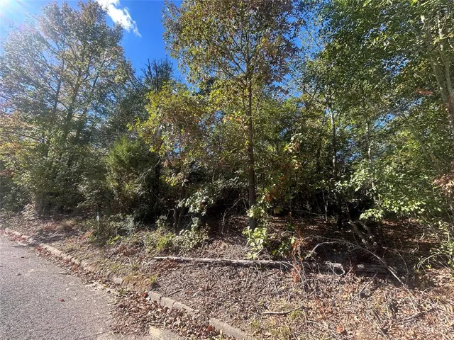 a view of a forest with trees