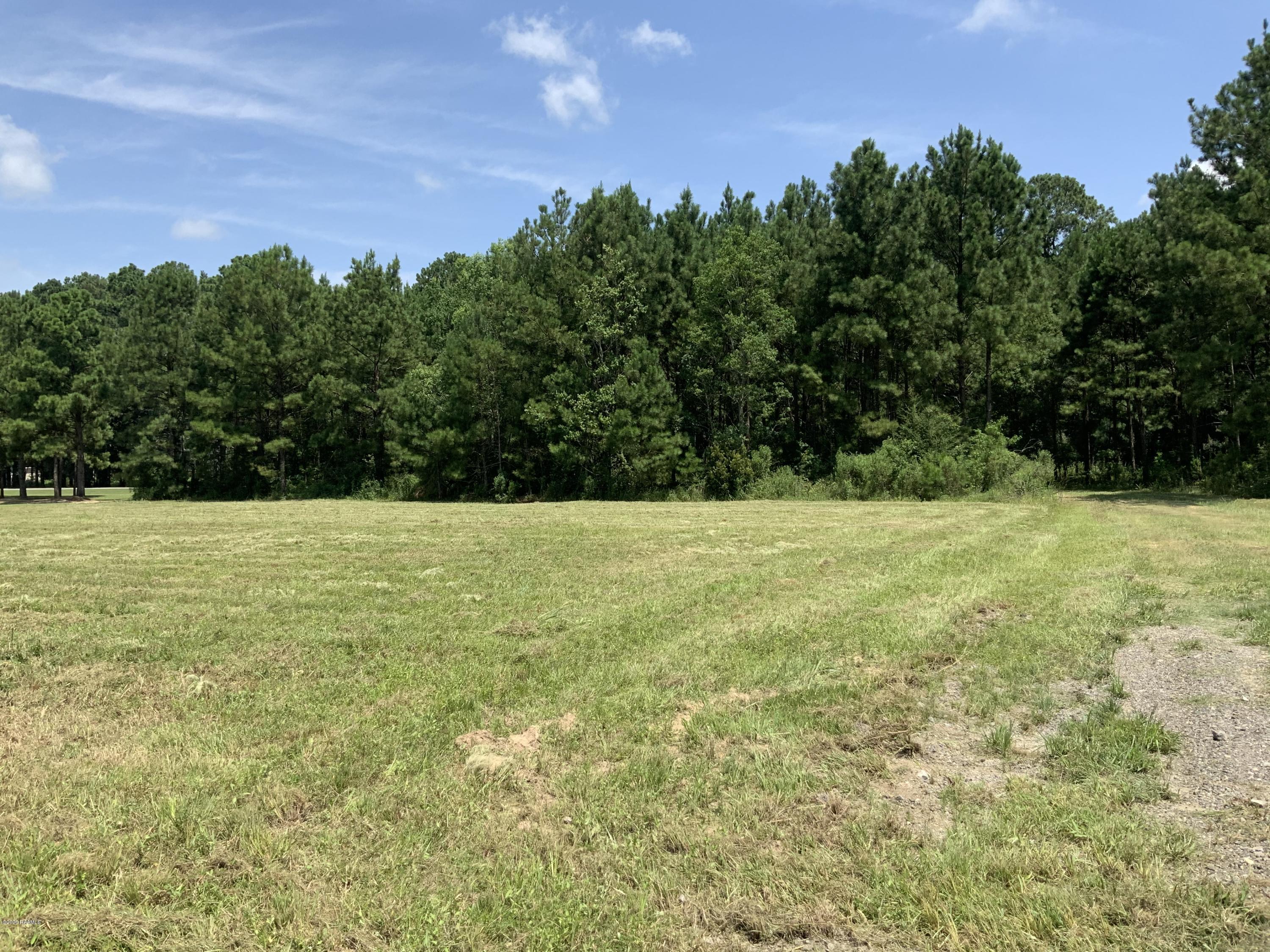 Tbd Tbd Redich (10.56) Road Eunice, LA 70535 - Photo 6 of 6
