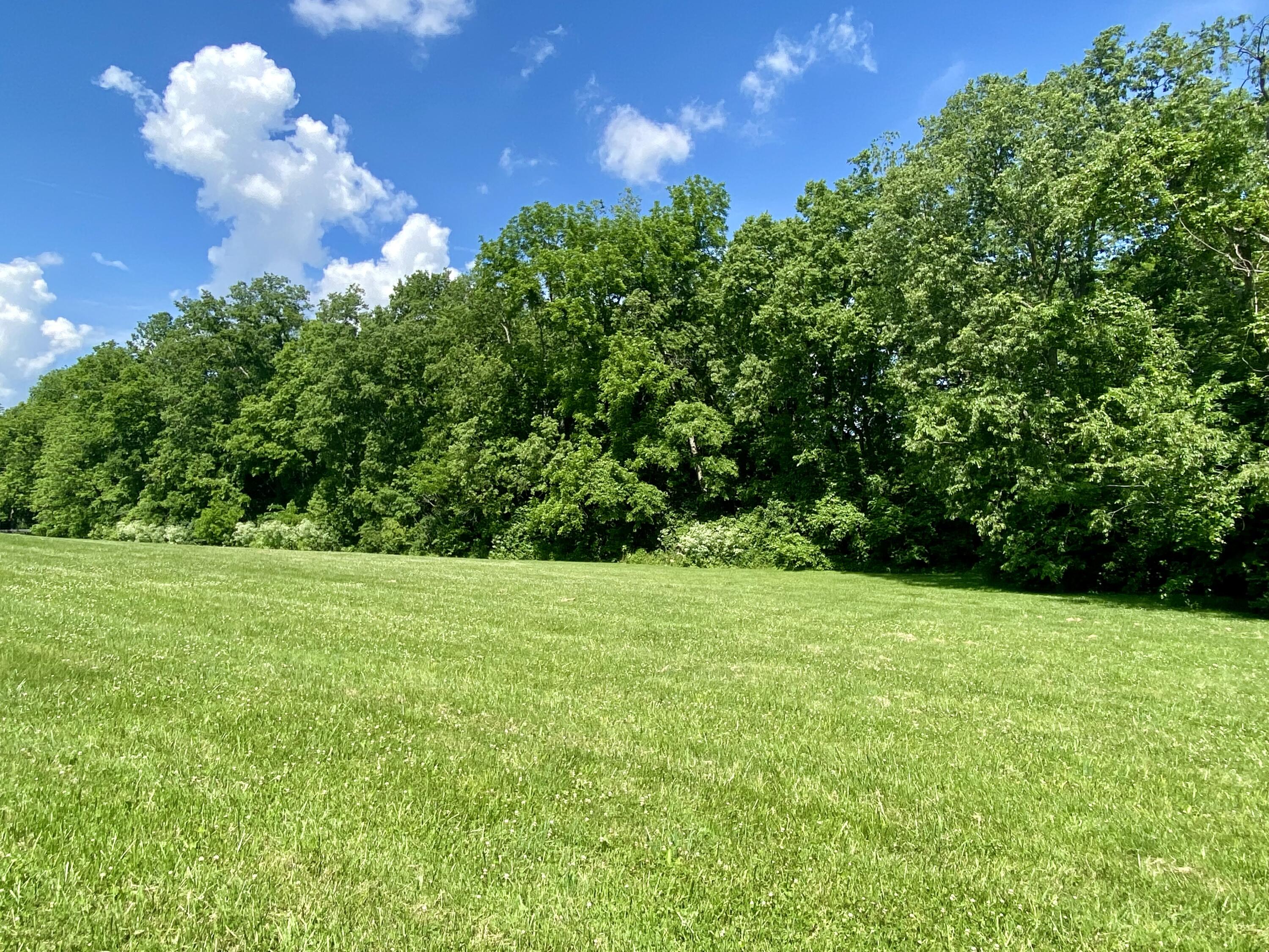 626 Crumbaugh Road Georgetown, KY 40324 - Photo 10 of 54 16D1C9C8-CCE6-40FD-950A-D4D46D04E0F4
