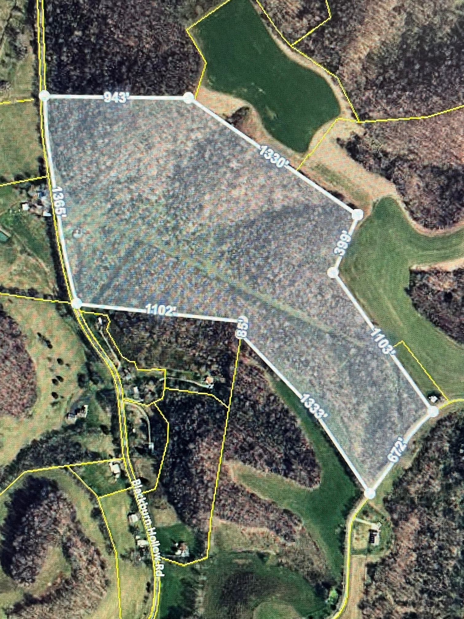 2448 Blackburn Hollow Rd  