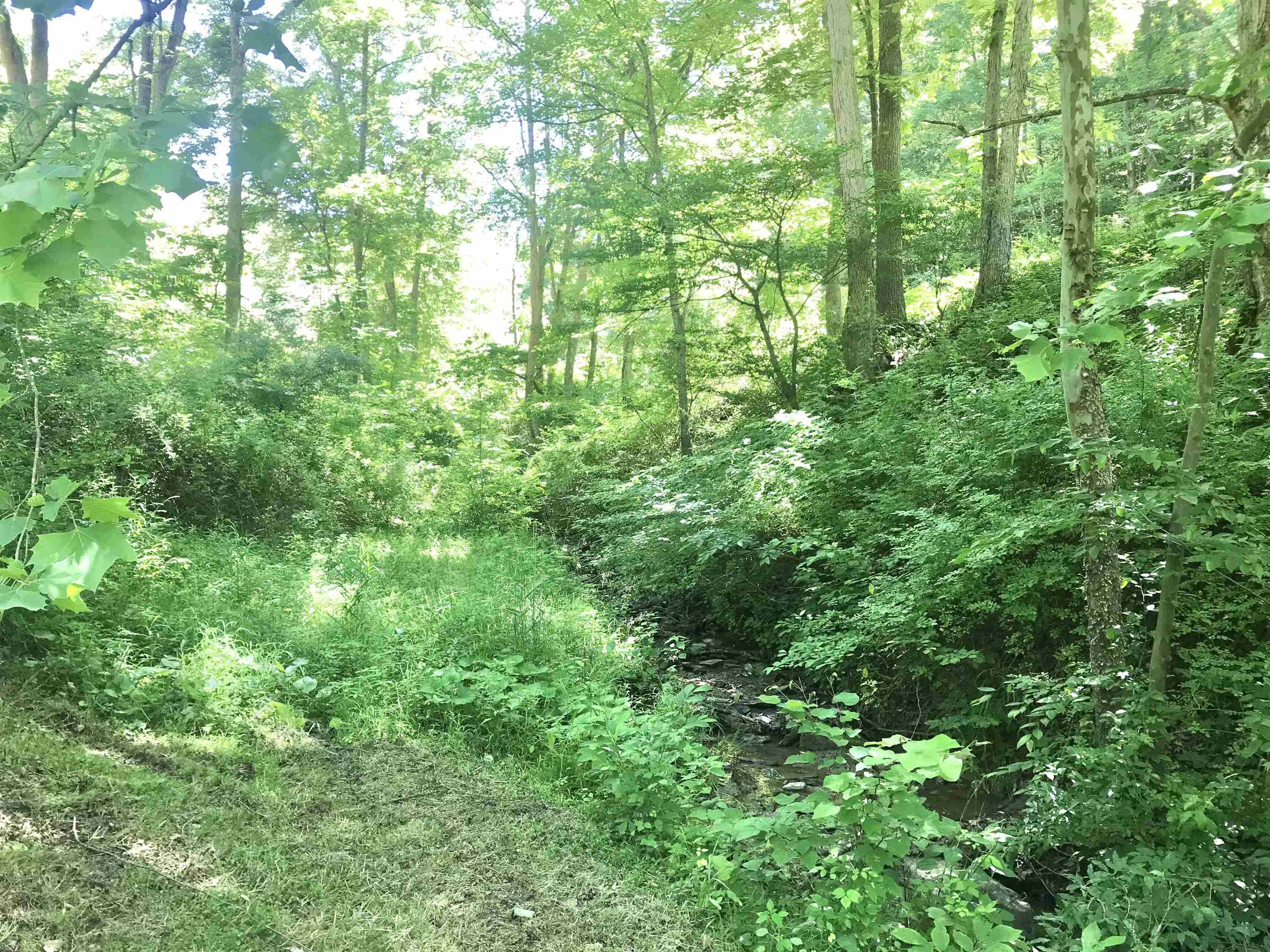 664 Walker Branch Road Morehead, KY 40351 - Photo 50 of 50