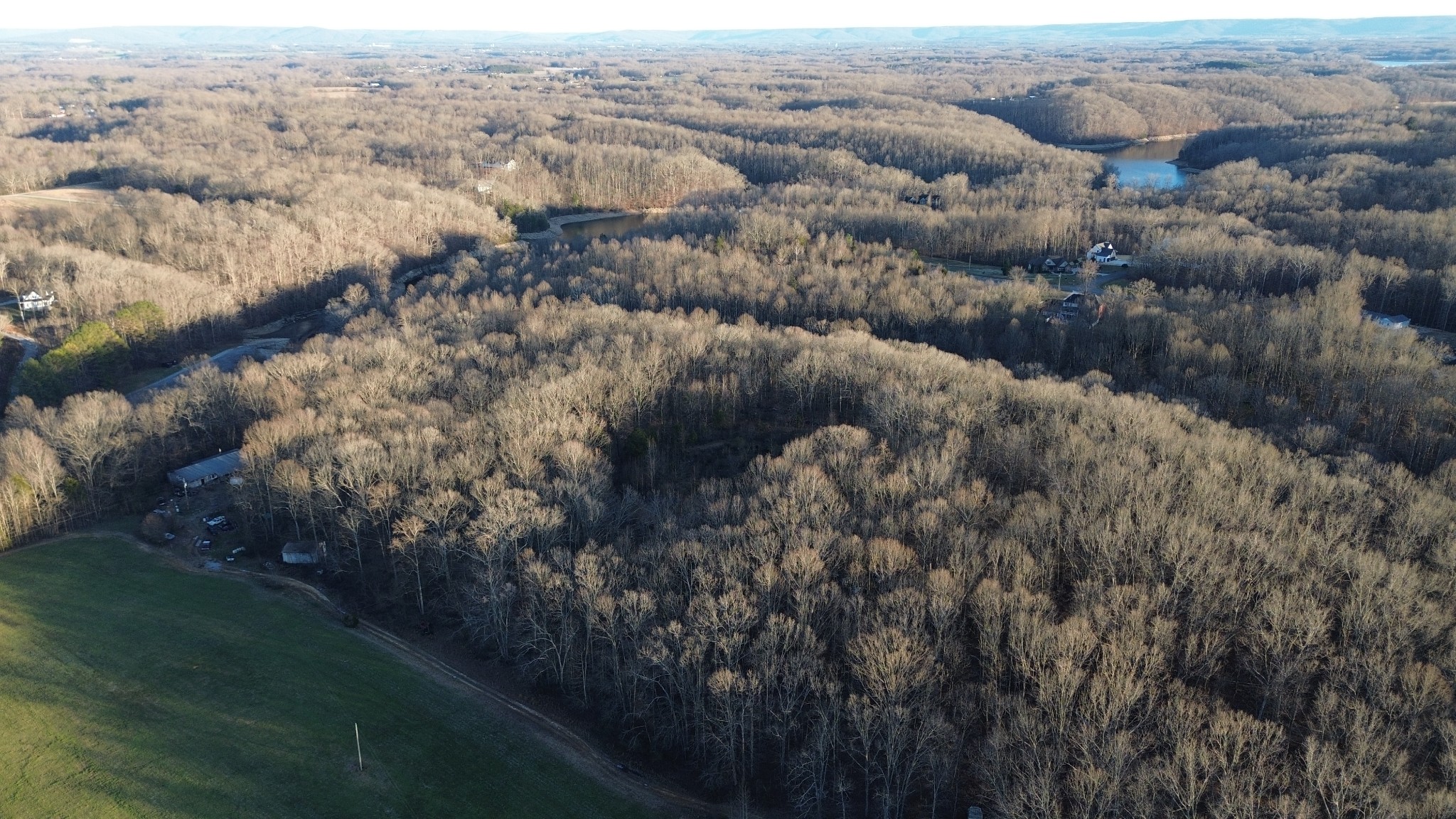 556 Panhead Hollow Road Estill Springs, TN 37330 - Photo 15 of 24 a view of a forest with a street