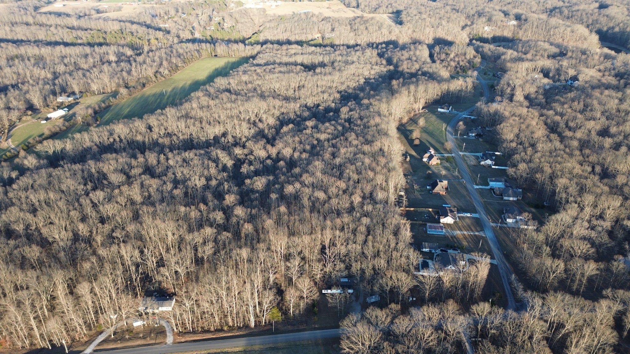 556 Panhead Hollow Road Estill Springs, TN 37330 - Photo 17 of 24