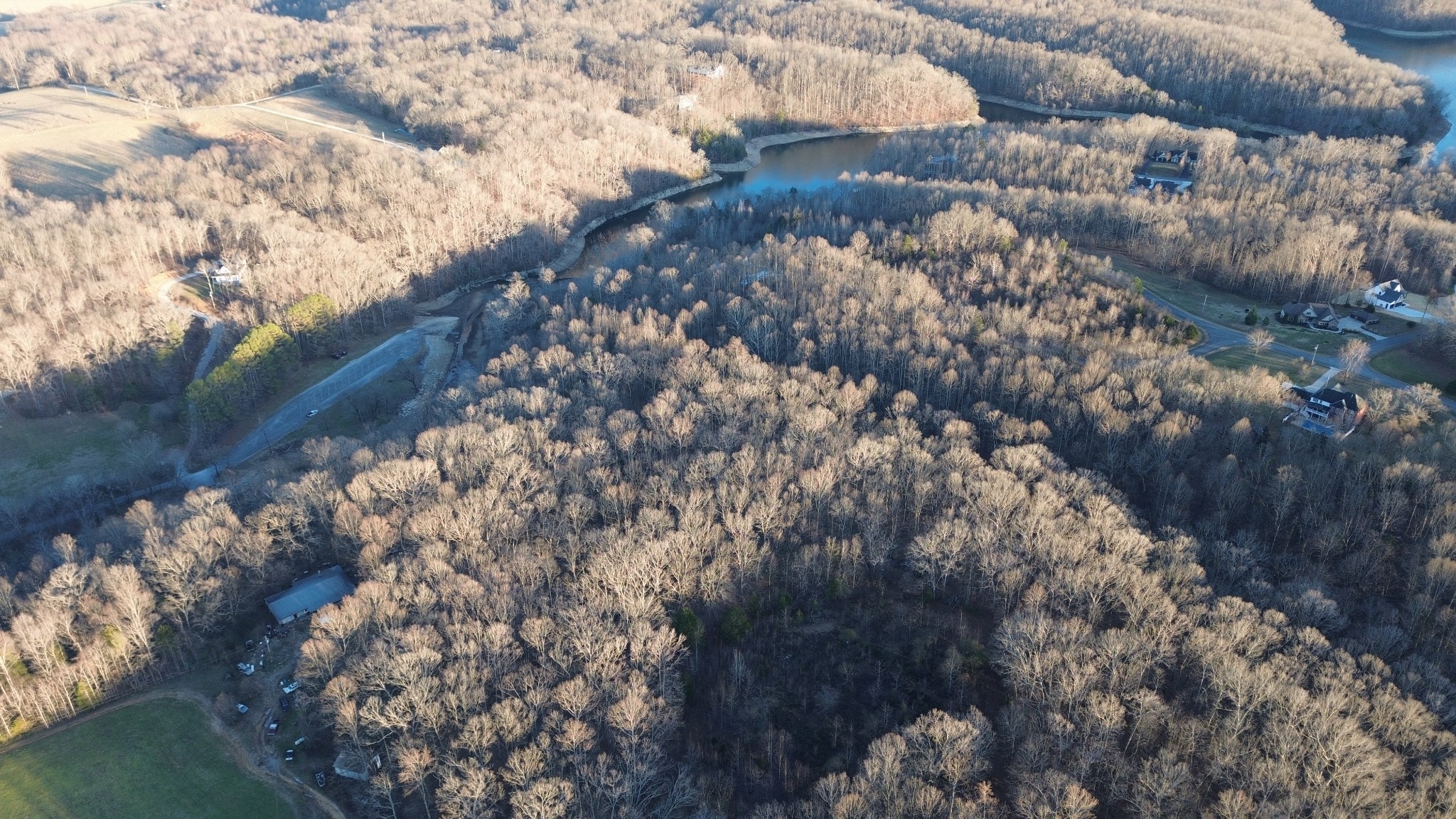556 Panhead Hollow Road Estill Springs, TN 37330 - Photo 18 of 24 a view of a lot of of trees