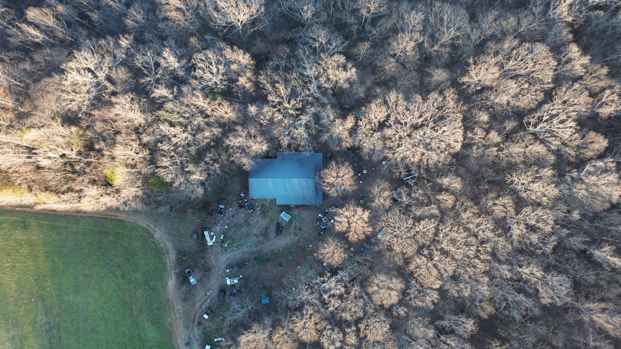 556 Panhead Hollow Road Estill Springs, TN 37330 - Photo 19 of 24 a picture of tree