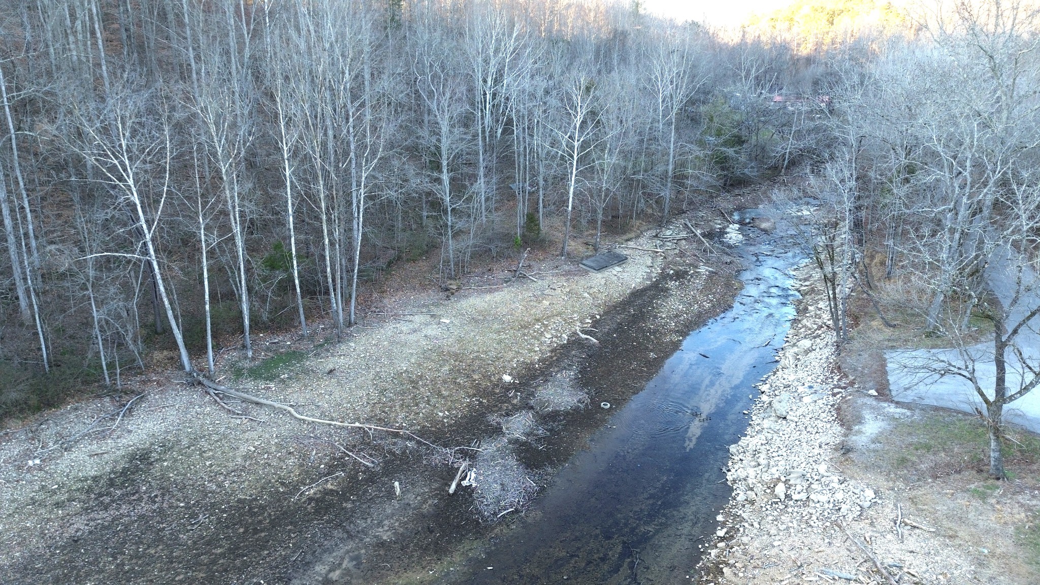 556 Panhead Hollow Road Estill Springs, TN 37330 - Photo 3 of 24 a view of a yard with trees