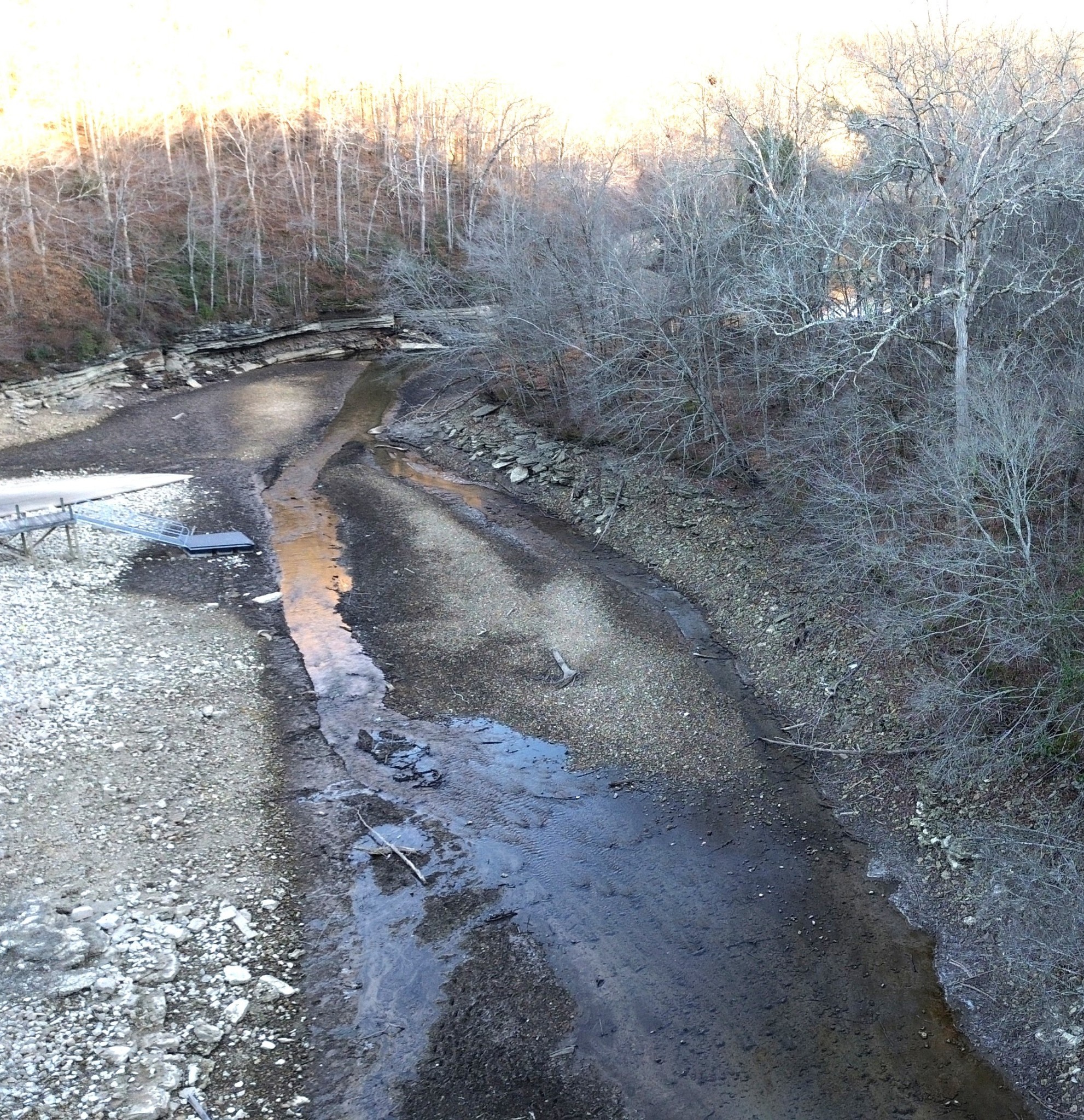 556 Panhead Hollow Road Estill Springs, TN 37330 - Photo 5 of 24 a view of a dry yard with trees in the background