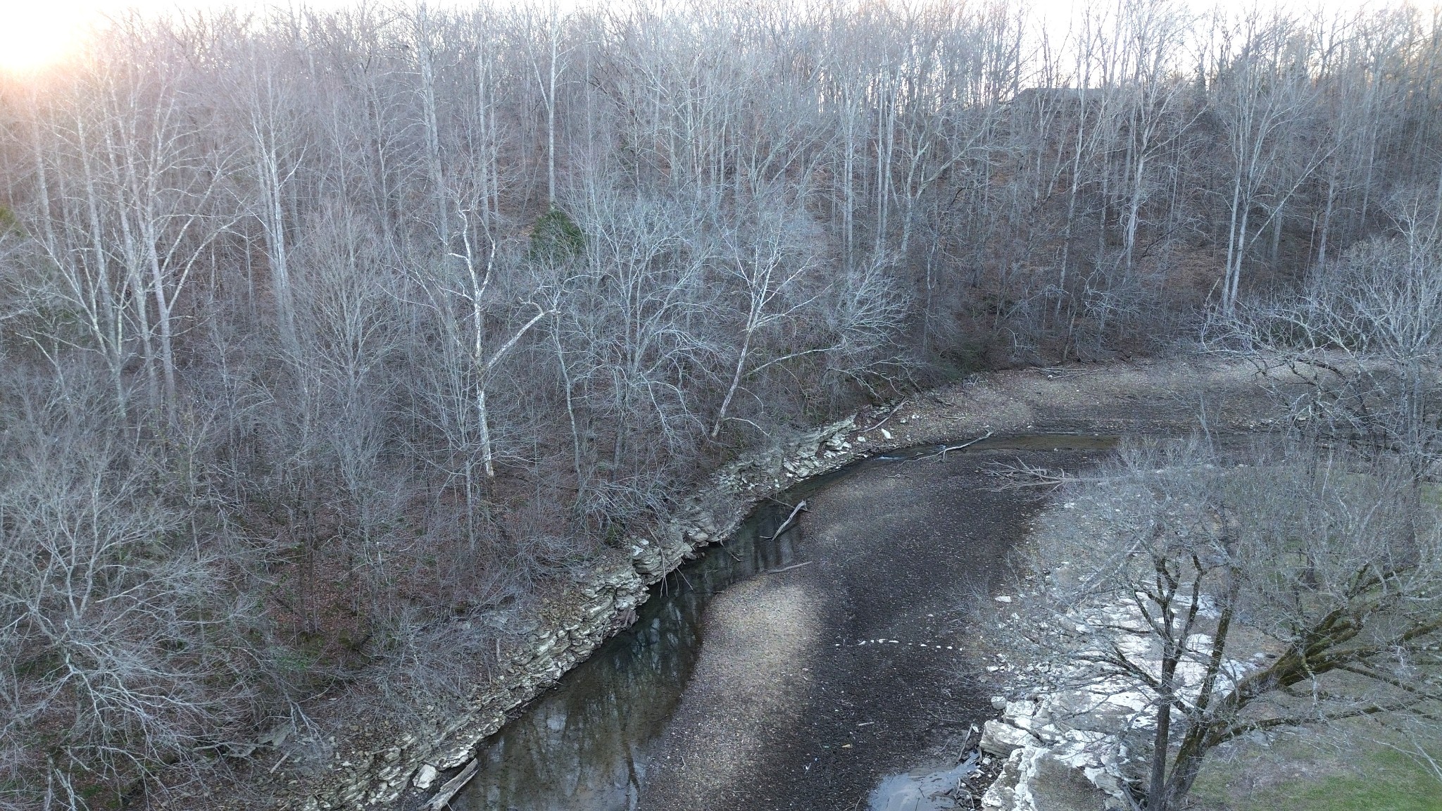 556 Panhead Hollow Road Estill Springs, TN 37330 - Photo 6 of 24 a view of a dry yard