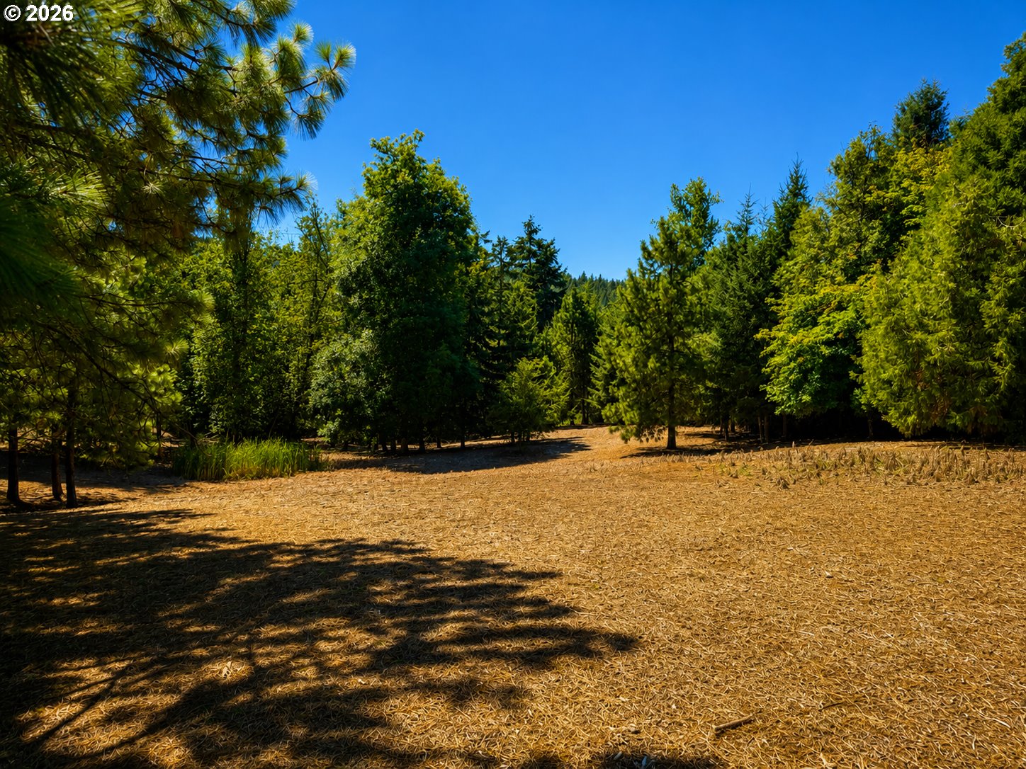 East 43rd Eugene, OR 97405 - Photo 27 of 27