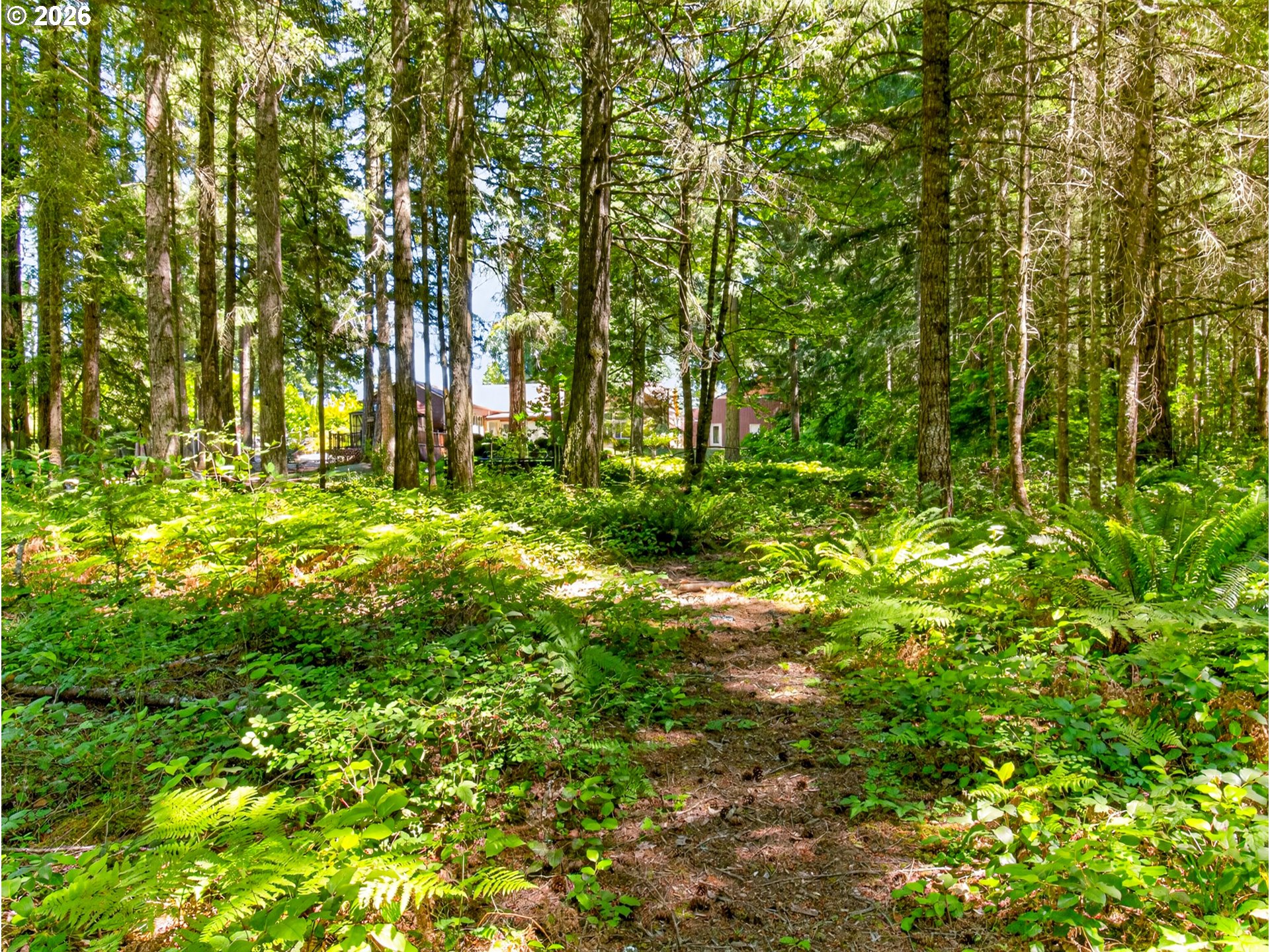 27241 South Pederson Road Estacada, OR 97023 - Photo 40 of 43 Acreage