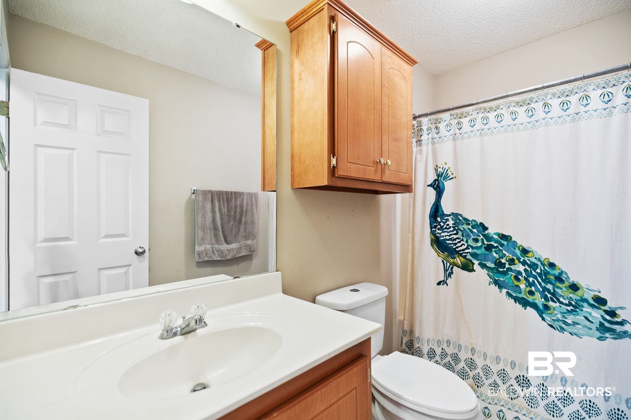 10550 Patrick Avenue Grand Bay, AL 36541 - Photo 32 of 43 Bathroom with vanity, toilet, and a textured ceiling