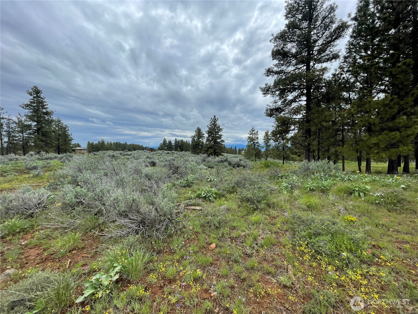 114 Falcon Ridge Road East Wenatchee, WA 98802 - Photo 6 of 7 a view of a green field with trees in the background