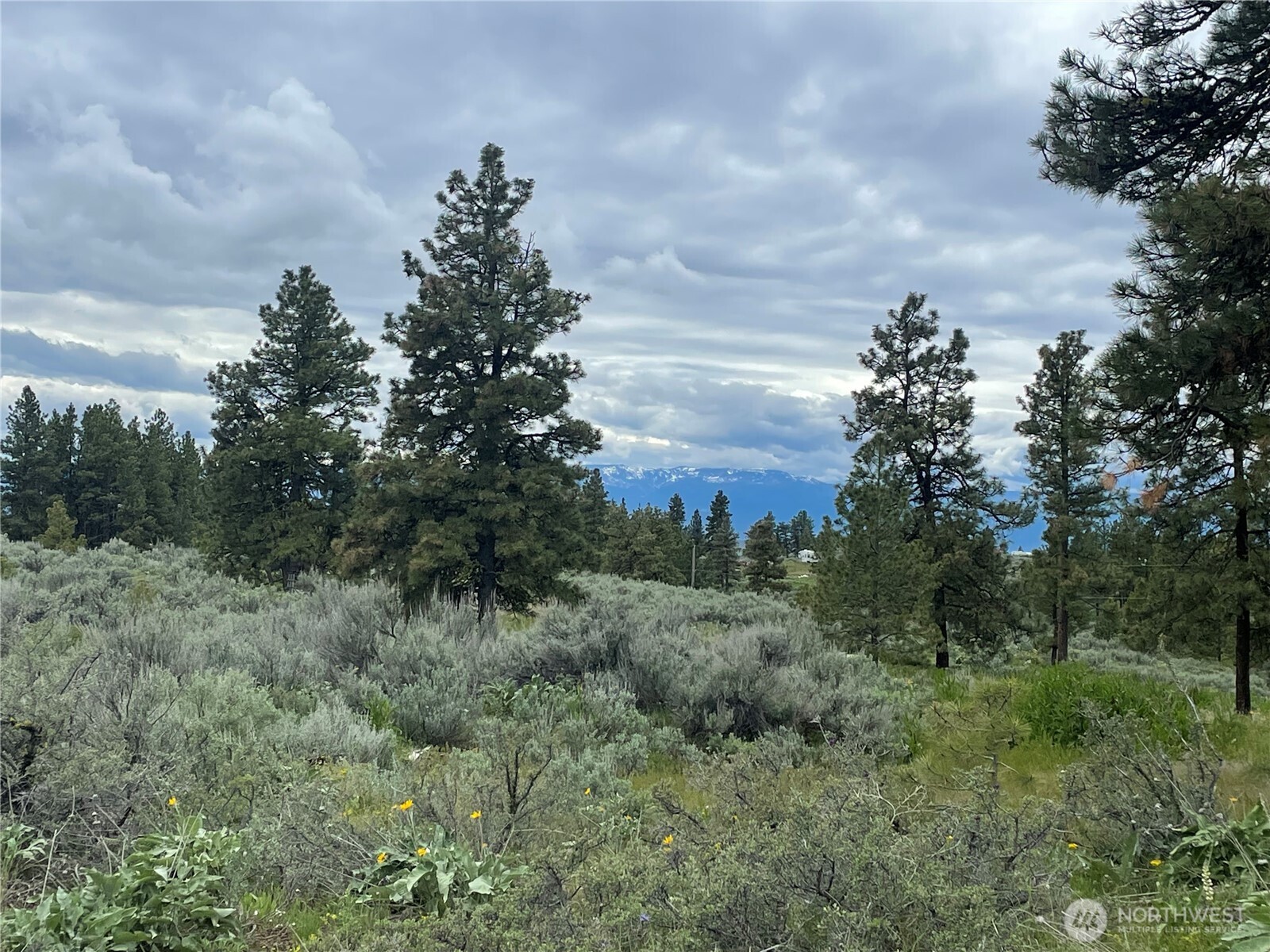 114 Falcon Ridge Road East Wenatchee, WA 98802 - Photo 7 of 7 a view of a field of grass and trees