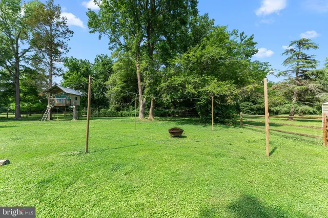 a view of a park with a tree