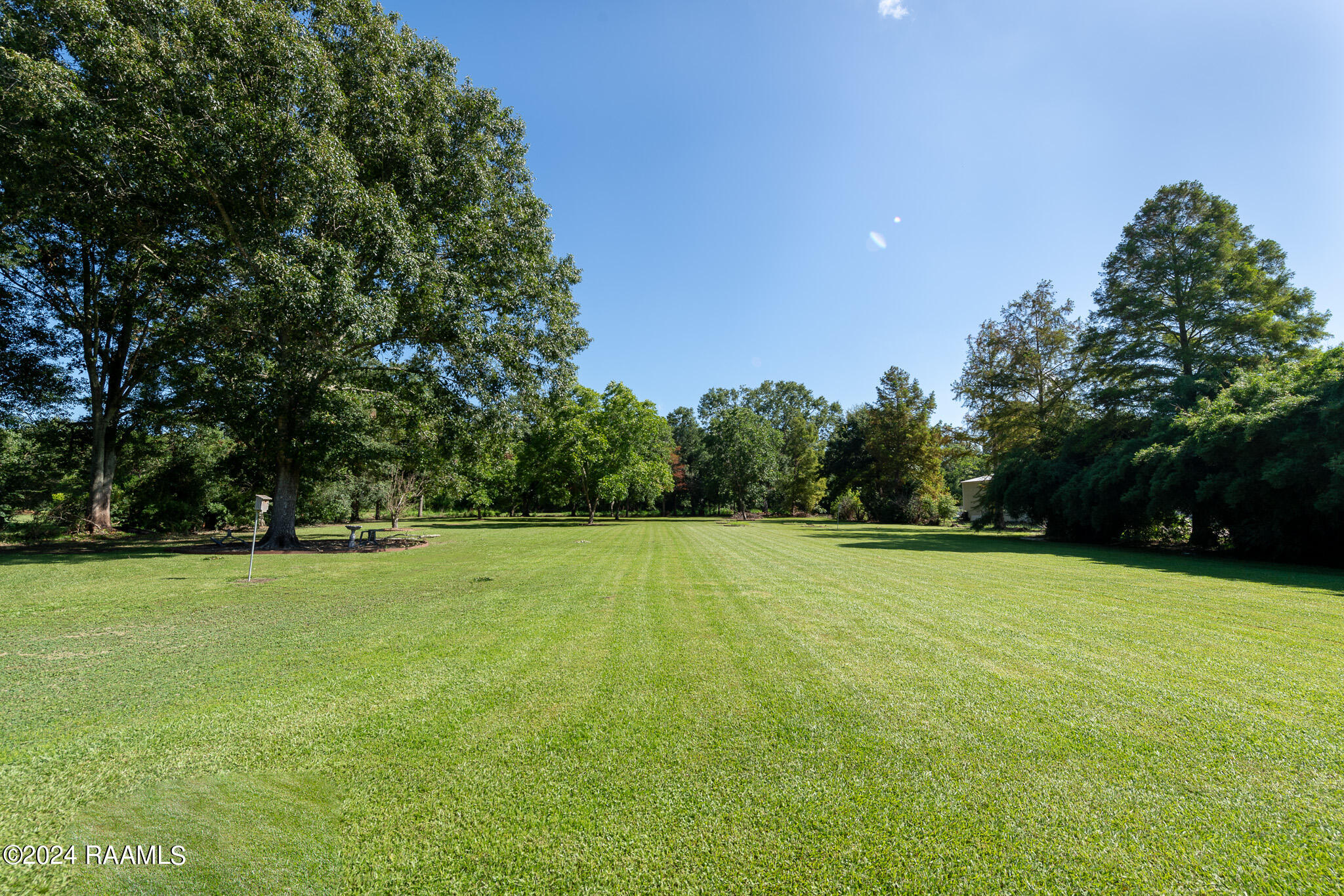 1146 Bourque Road Duson, LA 70529 - Photo 8 of 44 Gallery Image 8
