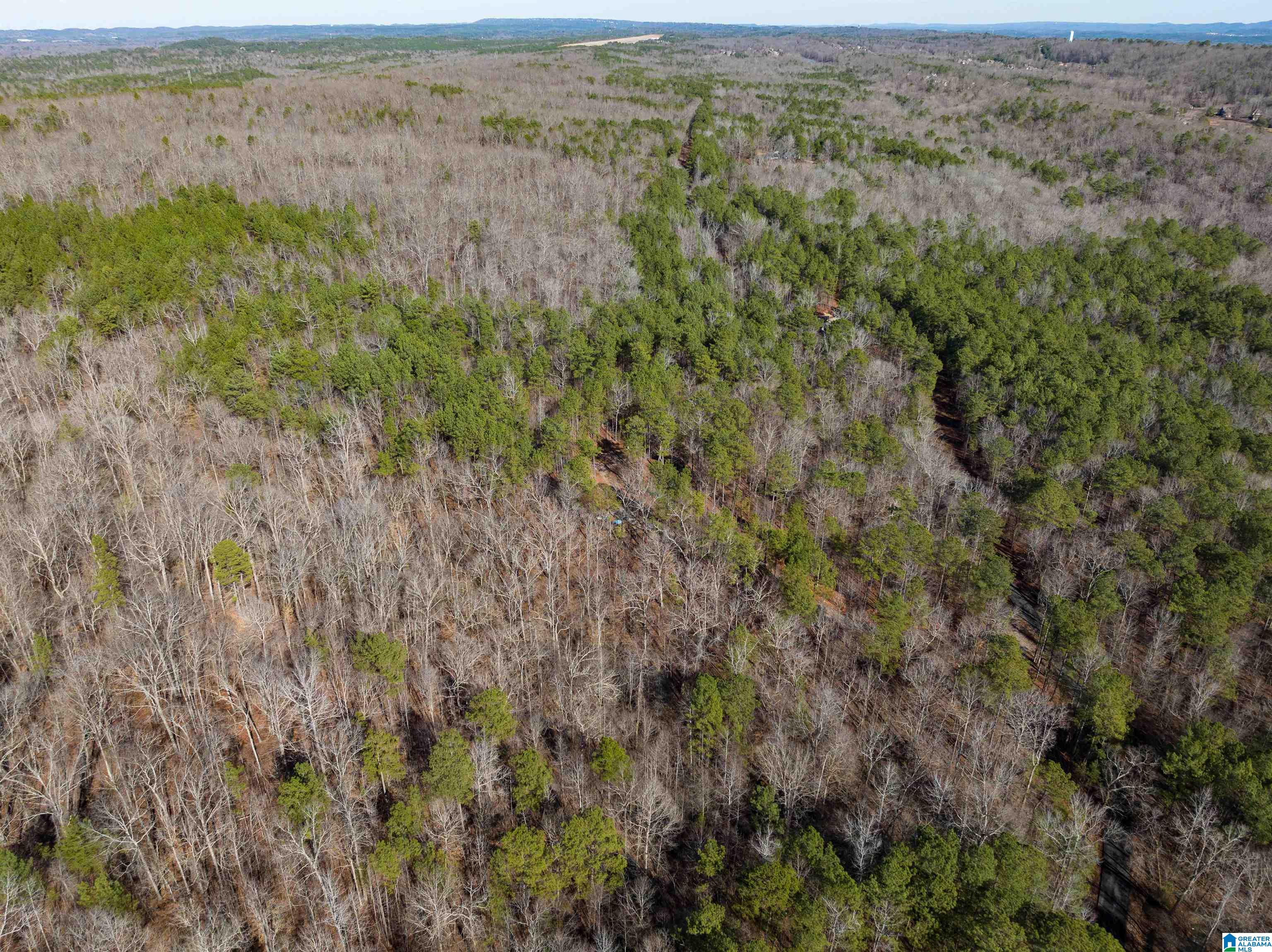3659 McClendon Chapel Road, Unit 2 Bessemer, AL 35022 - Photo 8 of 44
