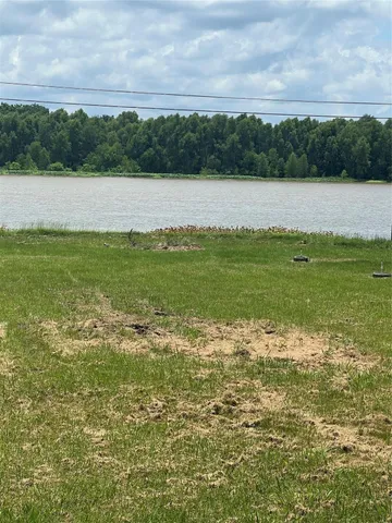 a view of an ocean from a yard