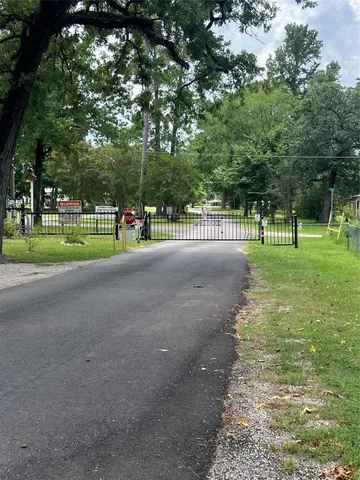 a view of a park with large trees