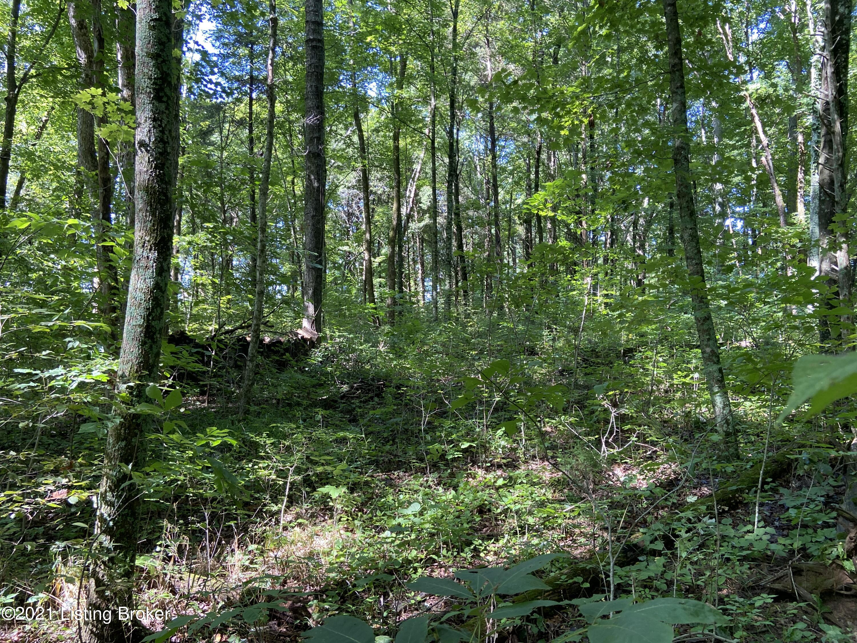 4.699 Delta Road Taylorsville, KY 40071 - Photo 5 of 9 0542AA68-4373-44A3-8291-199A9CBAB8C6