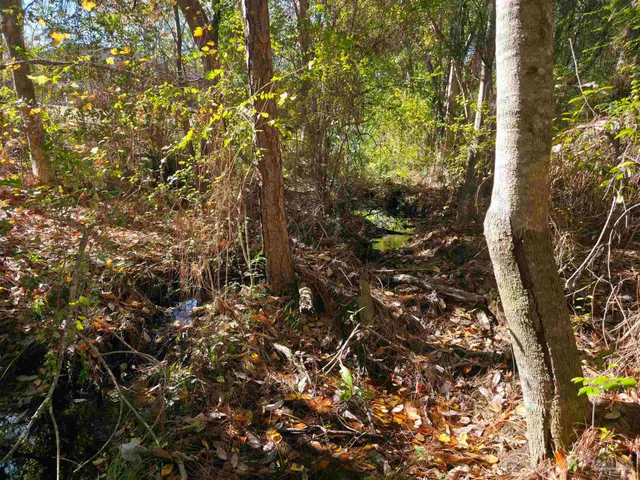 a backyard of a house