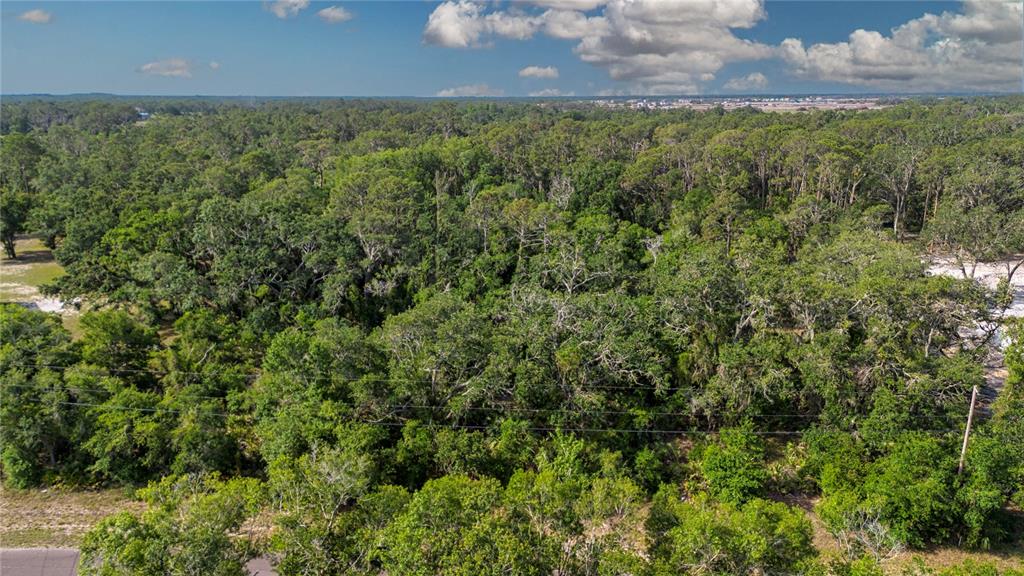 Butch Cassidy Trail Wimauma, FL 33598 - Photo 3 of 22 a view of a lots of trees and bushes