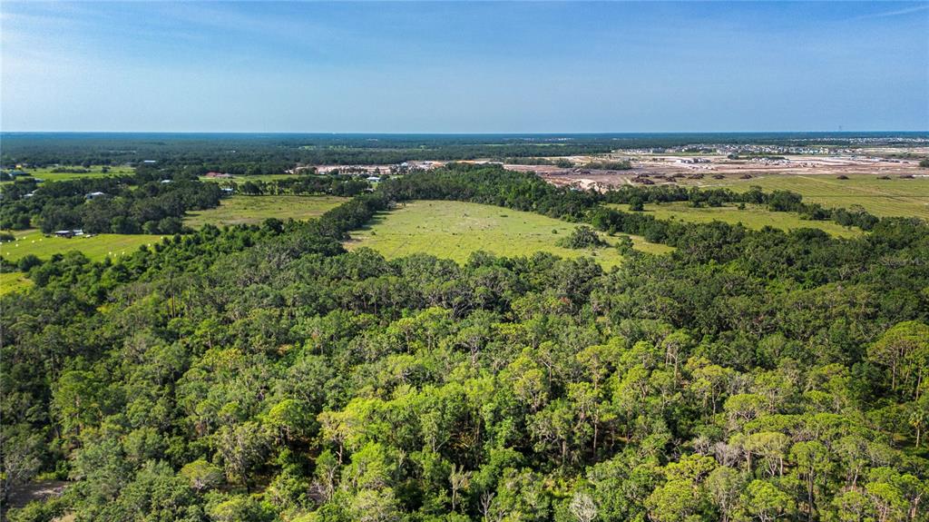 Butch Cassidy Trail Wimauma, FL 33598 - Photo 5 of 22 an aerial view of a residential houses with outdoor space and trees