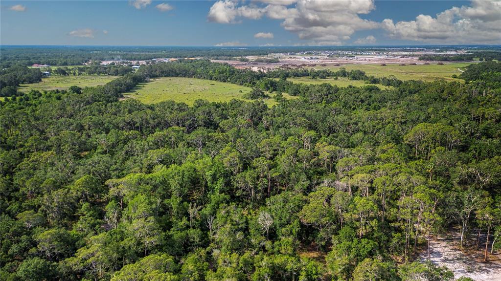 Butch Cassidy Trail Wimauma, FL 33598 - Photo 8 of 22 a view of a lake view