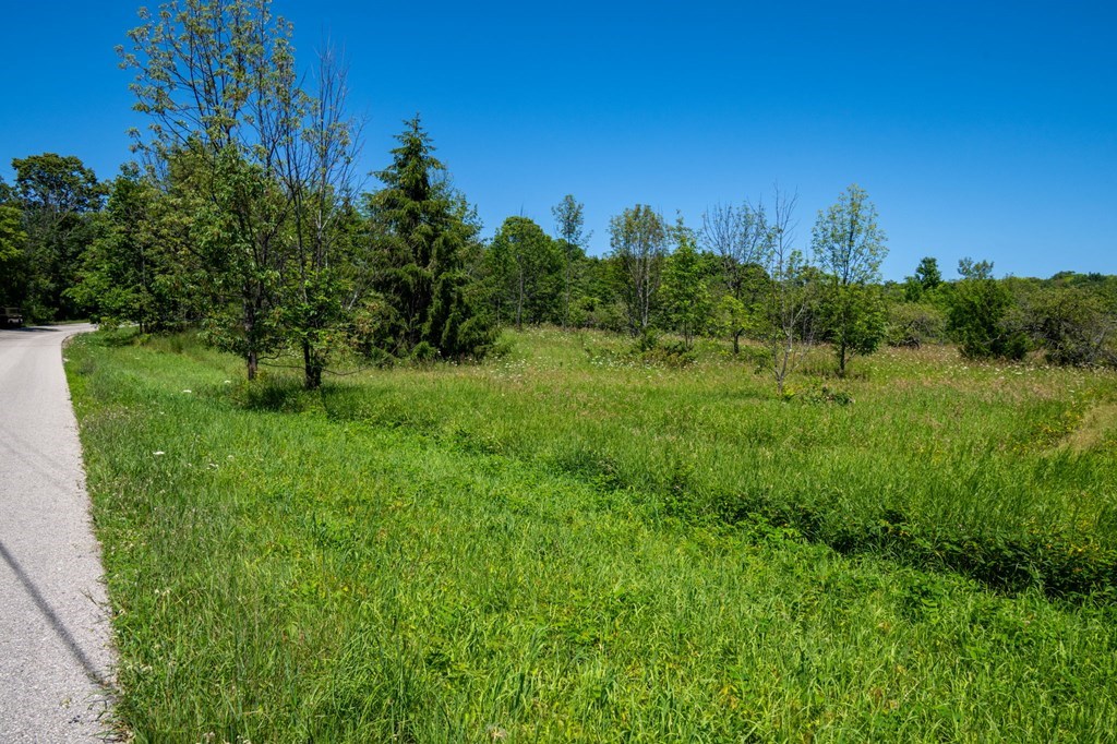 Lot Beach Beach Road Sister Bay, WI 54234 - Photo 11 of 27