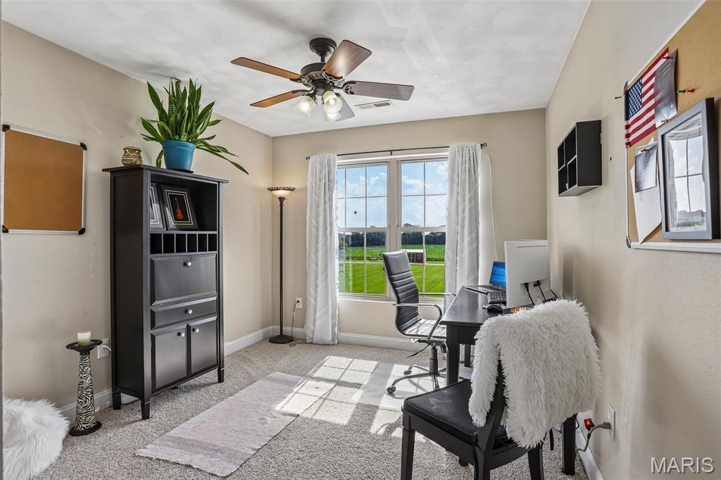 4389 Wagner Road Marine, IL 62061 - Photo 30 of 67