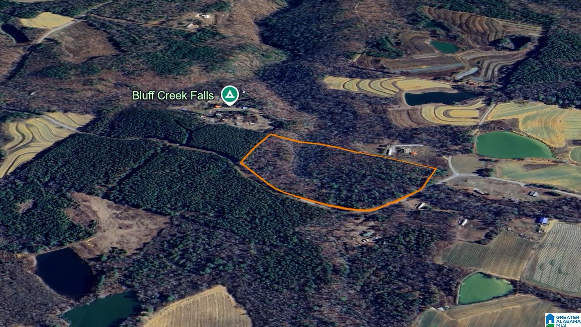 Loop Road, Unit 18 Steele, AL 35987 - Photo 5 of 9