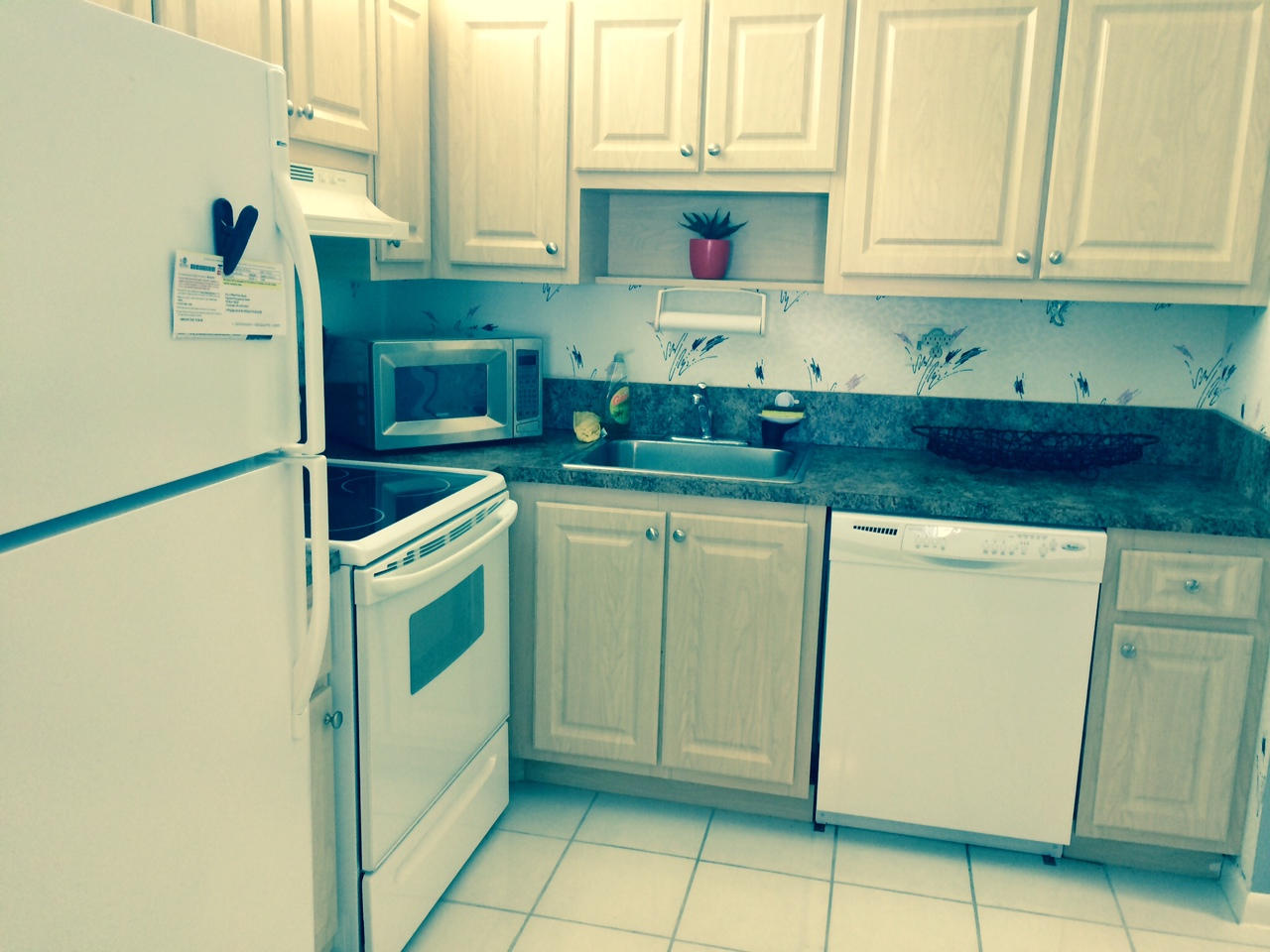 9300 Southwest 8th Street, Unit 4180 Boca Raton, FL 33428 - Photo 4 of 12 Kitchen