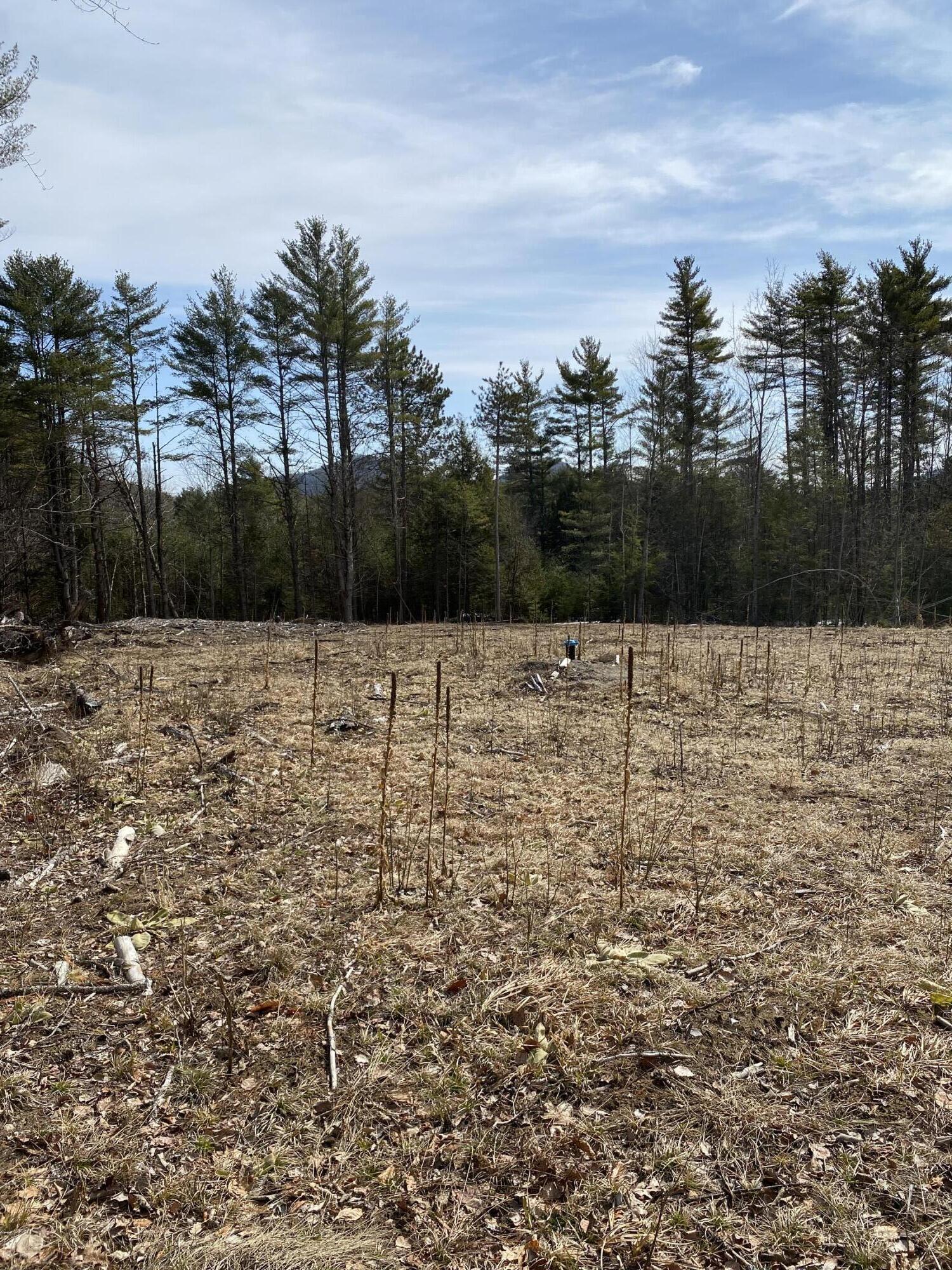 530 Fox Run Road Lewis, NY 12950 - Photo 2 of 11 Northerly View