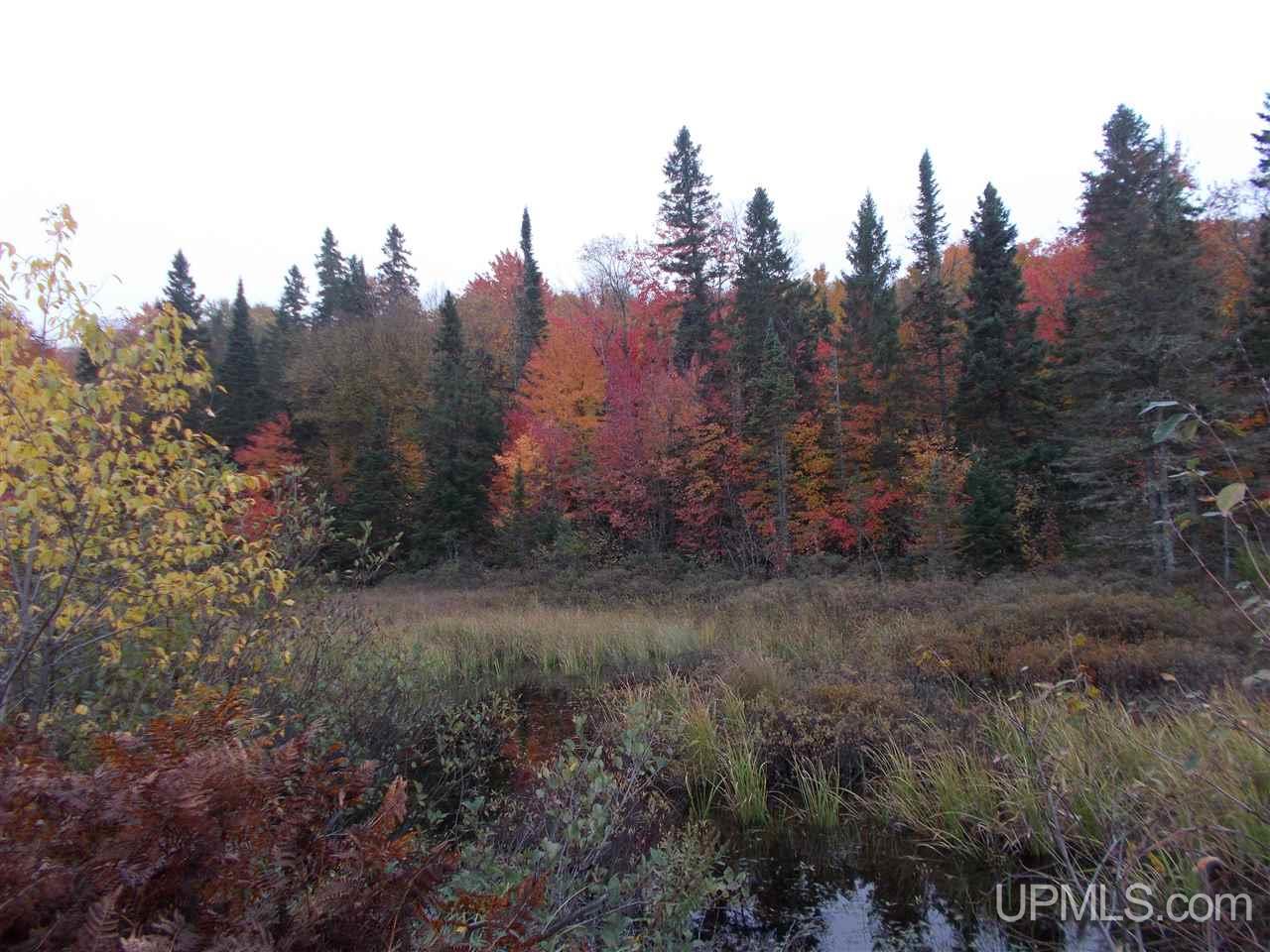 640-acres Peshekee Grade Road Skanee, MI 49946 - Photo 22 of 37
