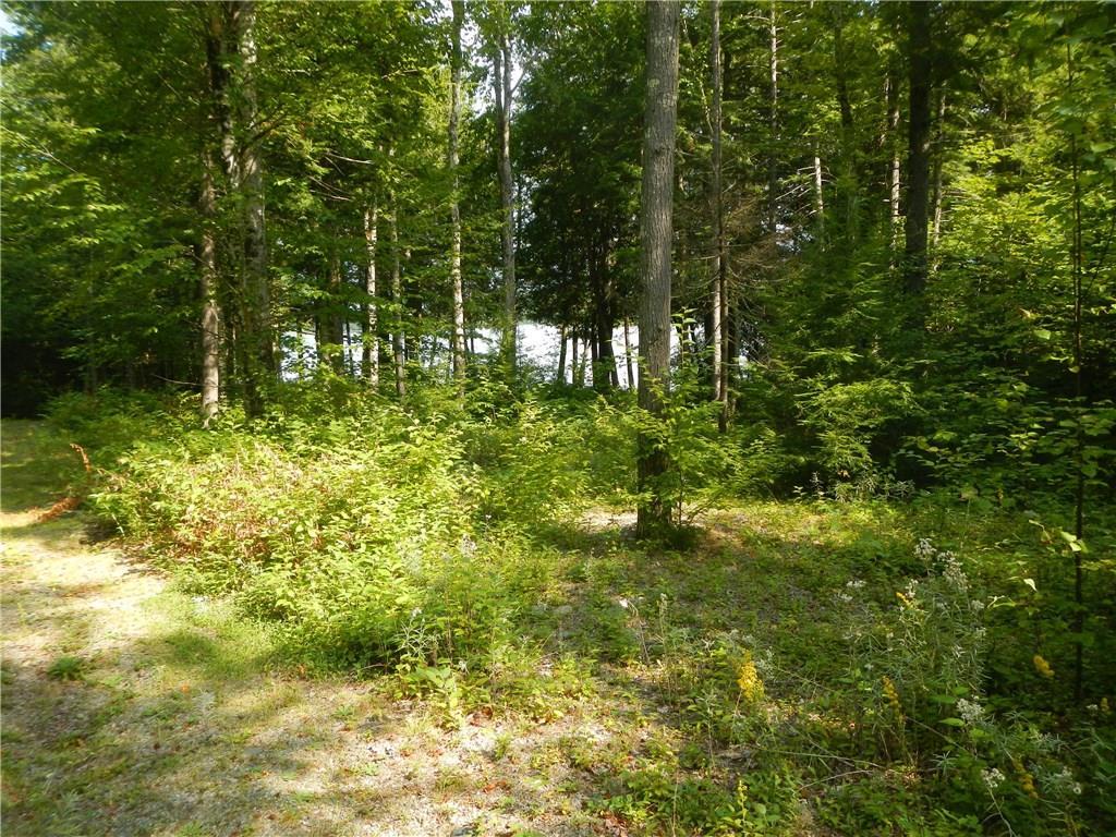 Tbd Tbd Eskutassis & Spruce Point Road Lowell, ME 04493 - Photo 5 of 23 Photo