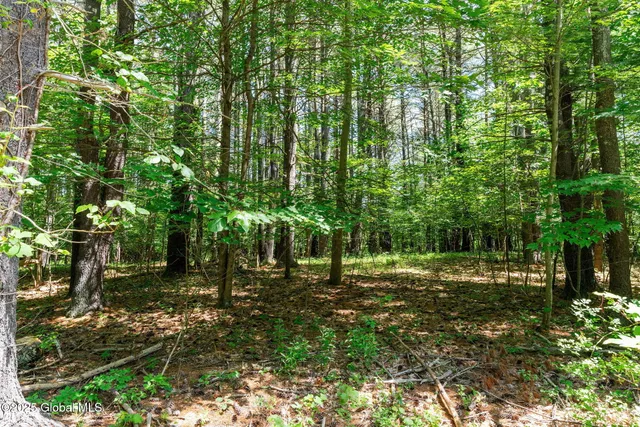 $24,900 | L6 Circle Drive, Cairo, NY 12413