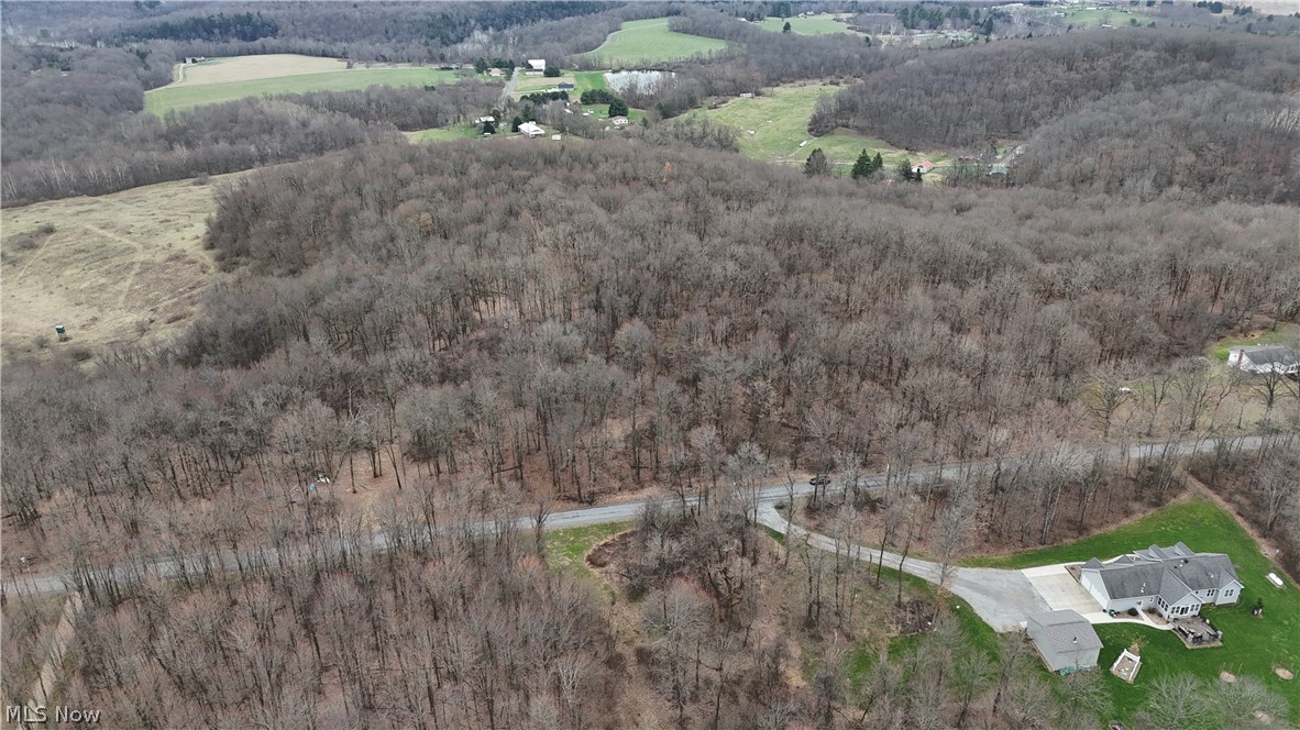 Cream Ridge Road Lisbon, OH 44432 - Photo 5 of 7 Bird's eye view of a forest