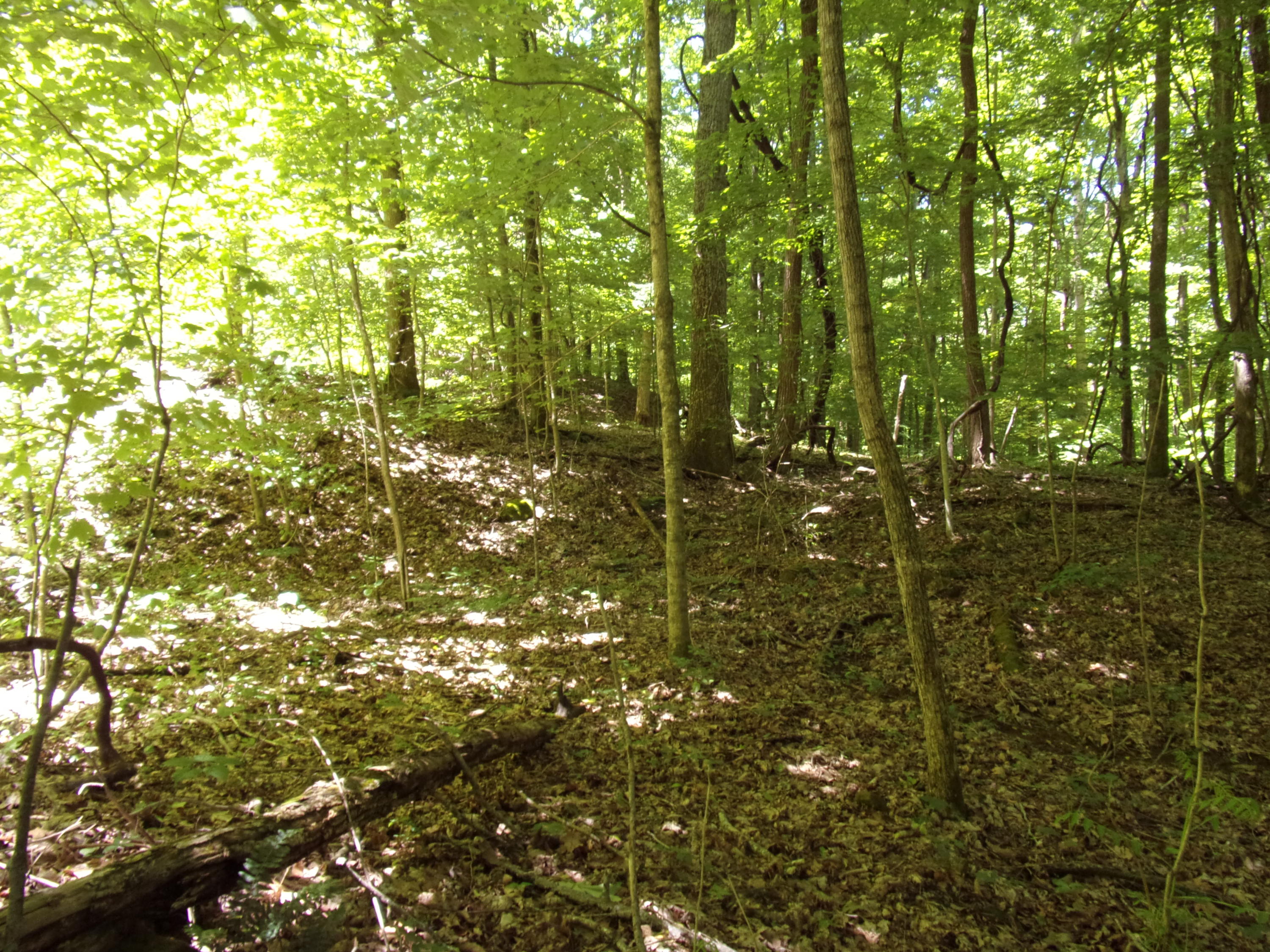22 Cherokee Ridge Road, Unit 22 Pikeville, TN 37367 - Photo 3 of 8 101_2940