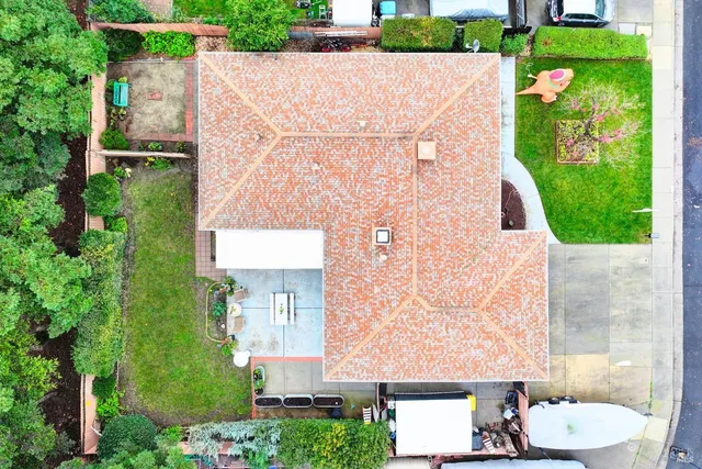 a view of a yard with plants and large trees